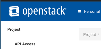 Project API access tag